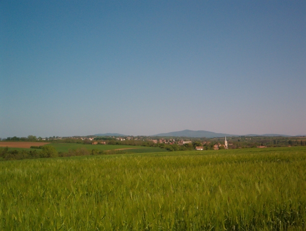 tajkep